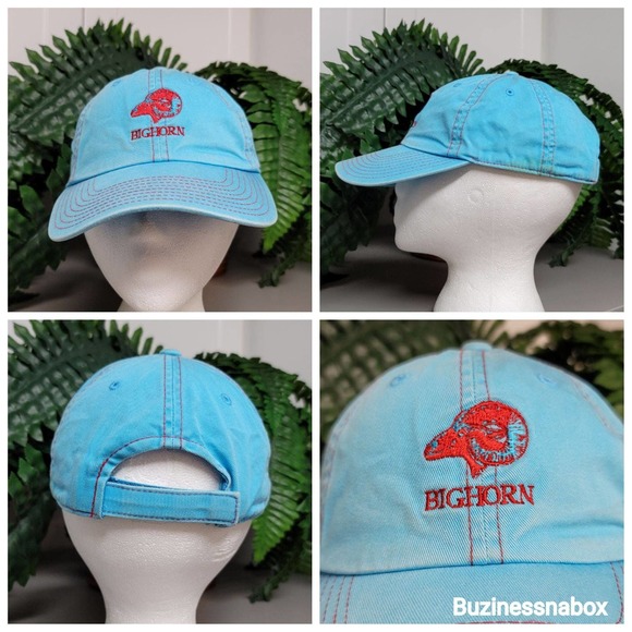 Vtg American Needle Big Horn Dad Hat - Picture 1 of 8